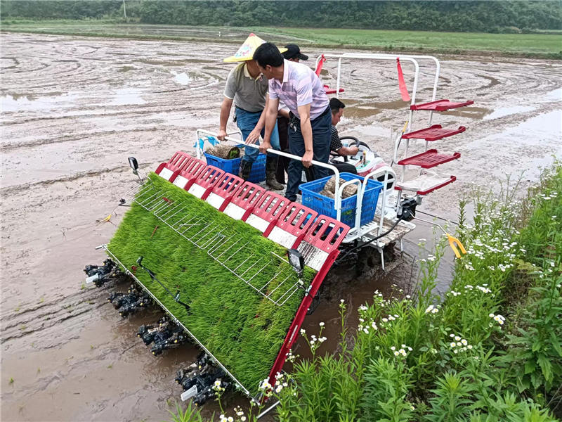 微信图片_20230531101403.jpg