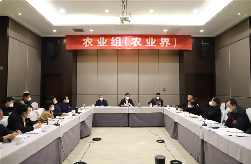 农业组.JPG