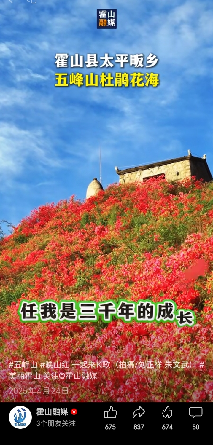图片9.png 图片9.png
