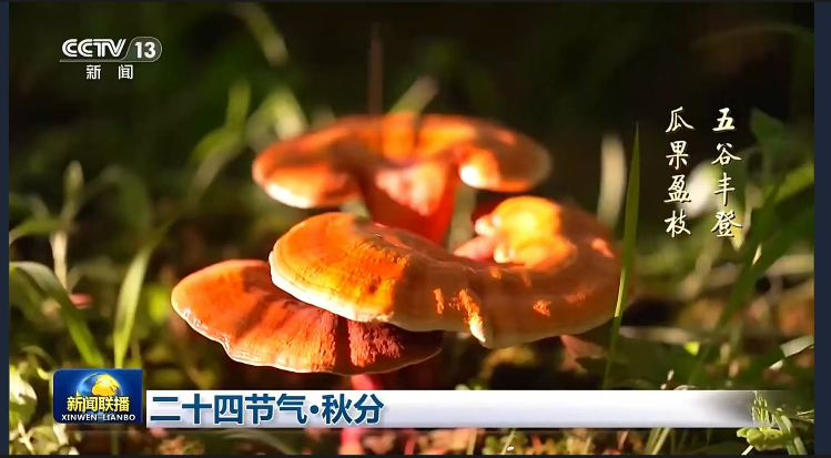 图片13.png 图片13.png