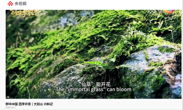 图片16.png 图片16.png