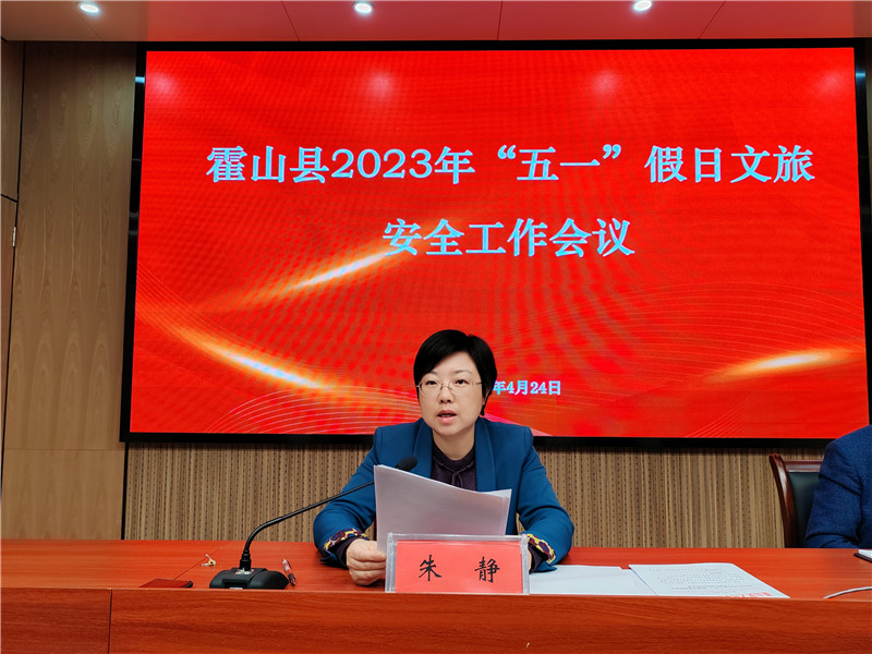 县委常委、宣传部长朱静讲话.jpg