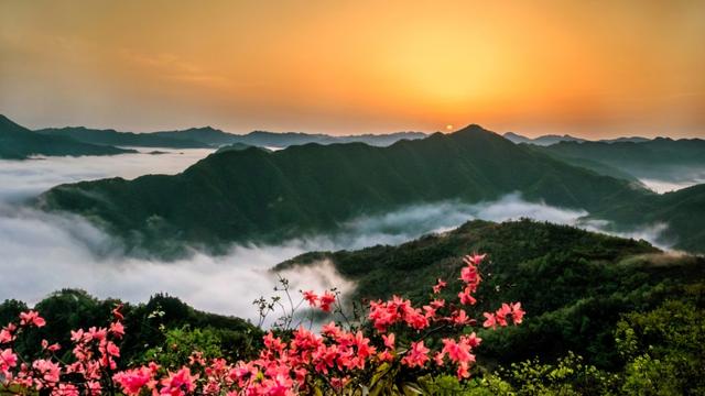 春光明媚大别山