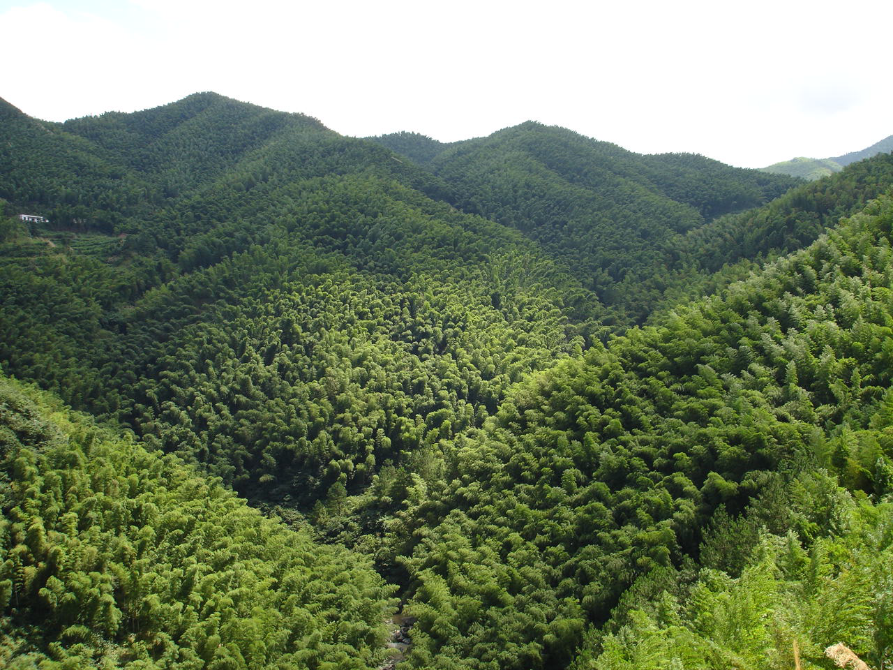 霍山：唱响绿色主旋律 实现绿色新跨越