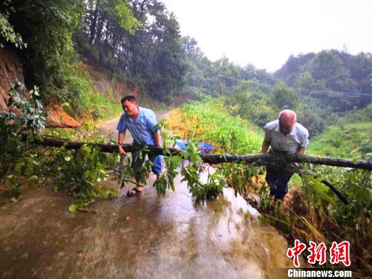 安徽省六安市霍山县村民展开自救，清理倒塌树木。　张金柱 摄
