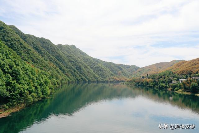 “香”约霍山丨大型媒体采风团来到安徽霍山开启寻香之旅