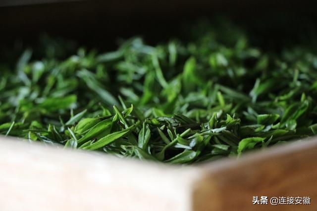 嫩芽香且灵，吾谓草中英丨品茶，知霍山