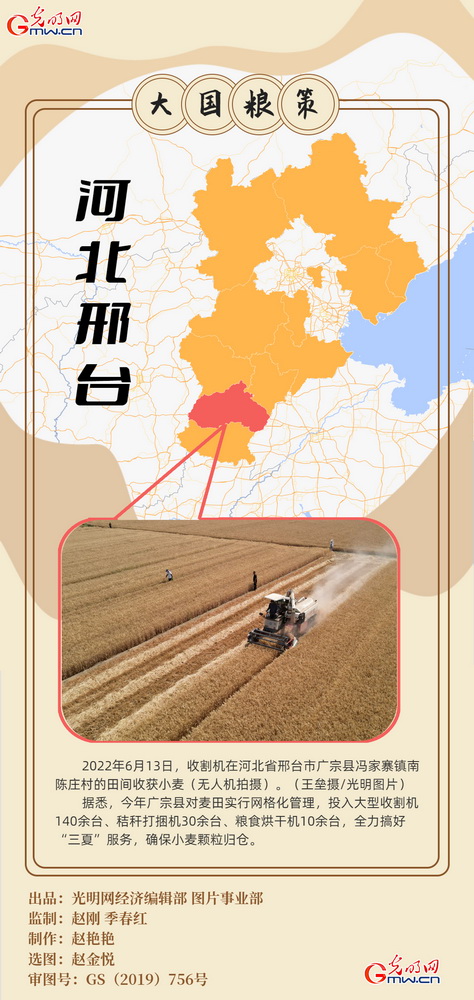 【大国“粮”策】创意海报丨全国小麦收获逾九成又到夏粮好“丰景”