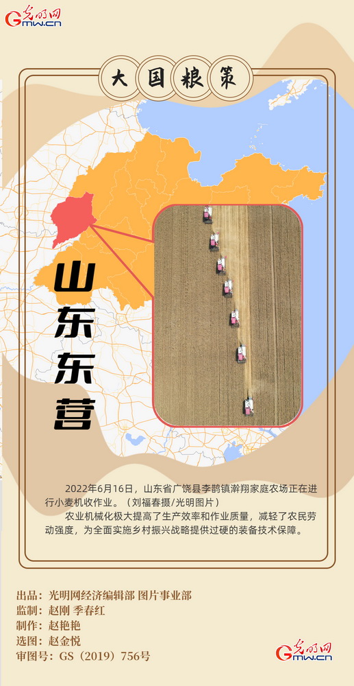 【大国“粮”策】创意海报丨全国小麦收获逾九成又到夏粮好“丰景”
