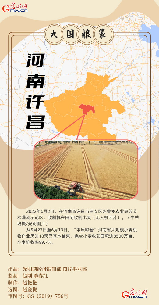 【大国“粮”策】创意海报丨全国小麦收获逾九成又到夏粮好“丰景”