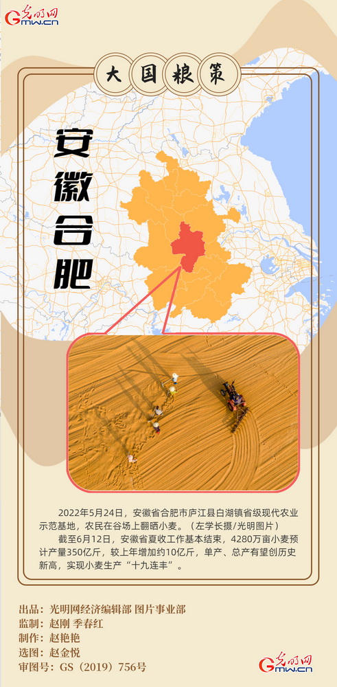 【大国“粮”策】创意海报丨全国小麦收获逾九成又到夏粮好“丰景”