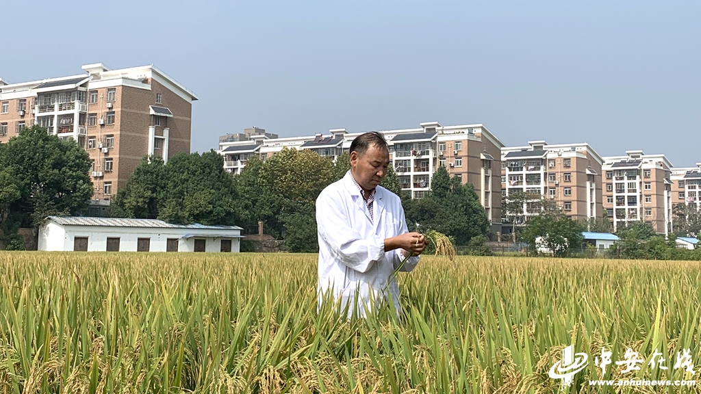微信图片_20231018154727.jpg