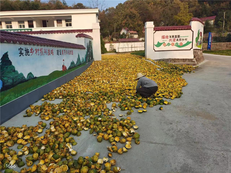 微信图片_20221121115711.jpg