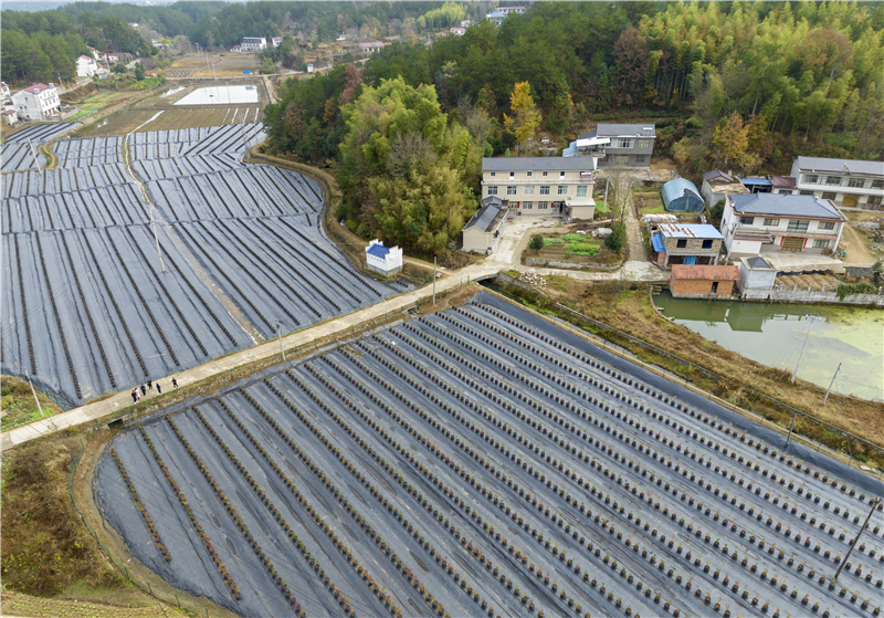 DJI_0328+.jpg