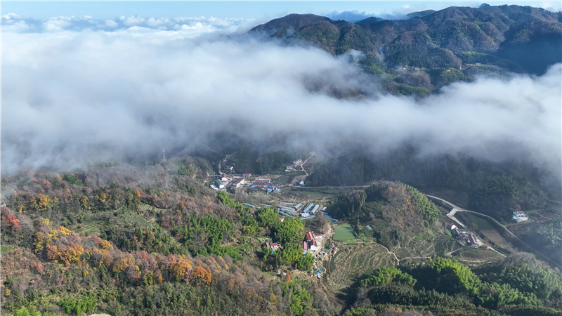0920221213537GMT_DJI_0364.jpg