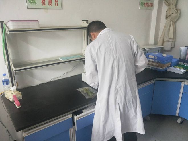 工作人员对样品进行农药残留快速检测.jpg