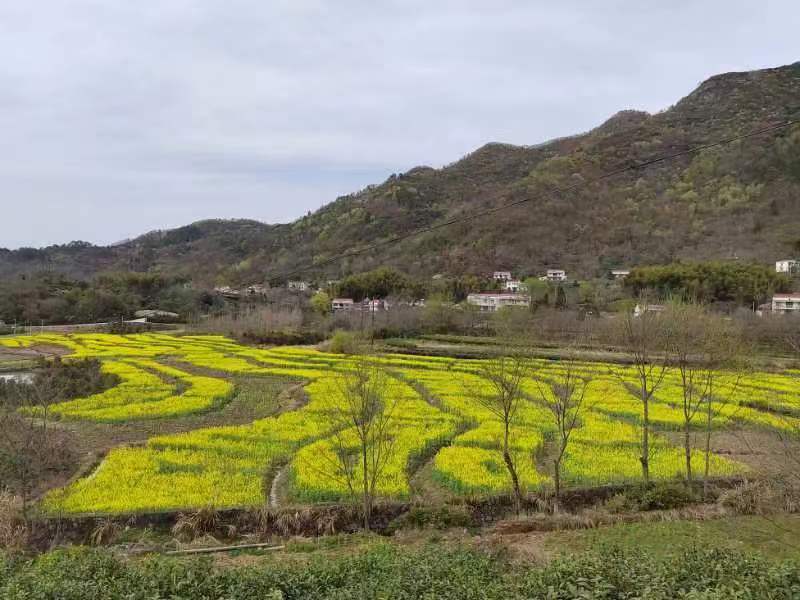 微信图片_20230317152322.jpg