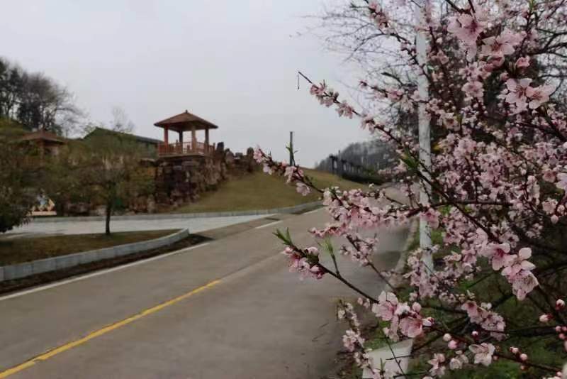 微信图片_20230317152317.jpg