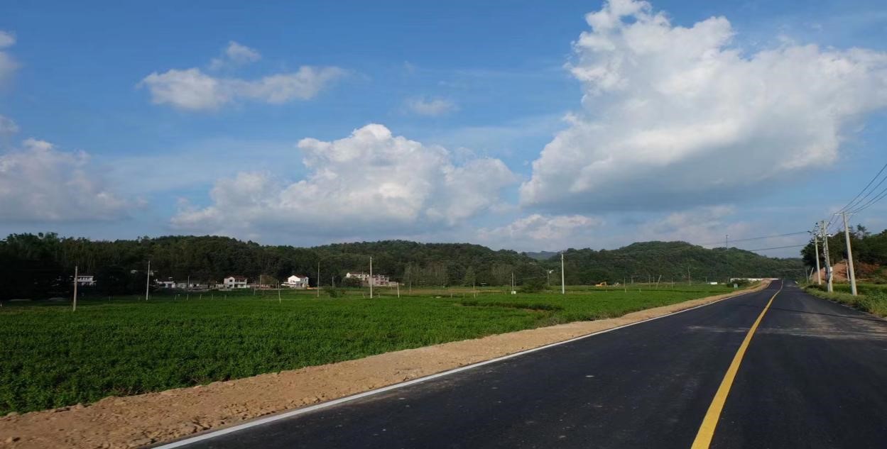 图为改造升级后的沙凡路及“千亩茶海”.jpg