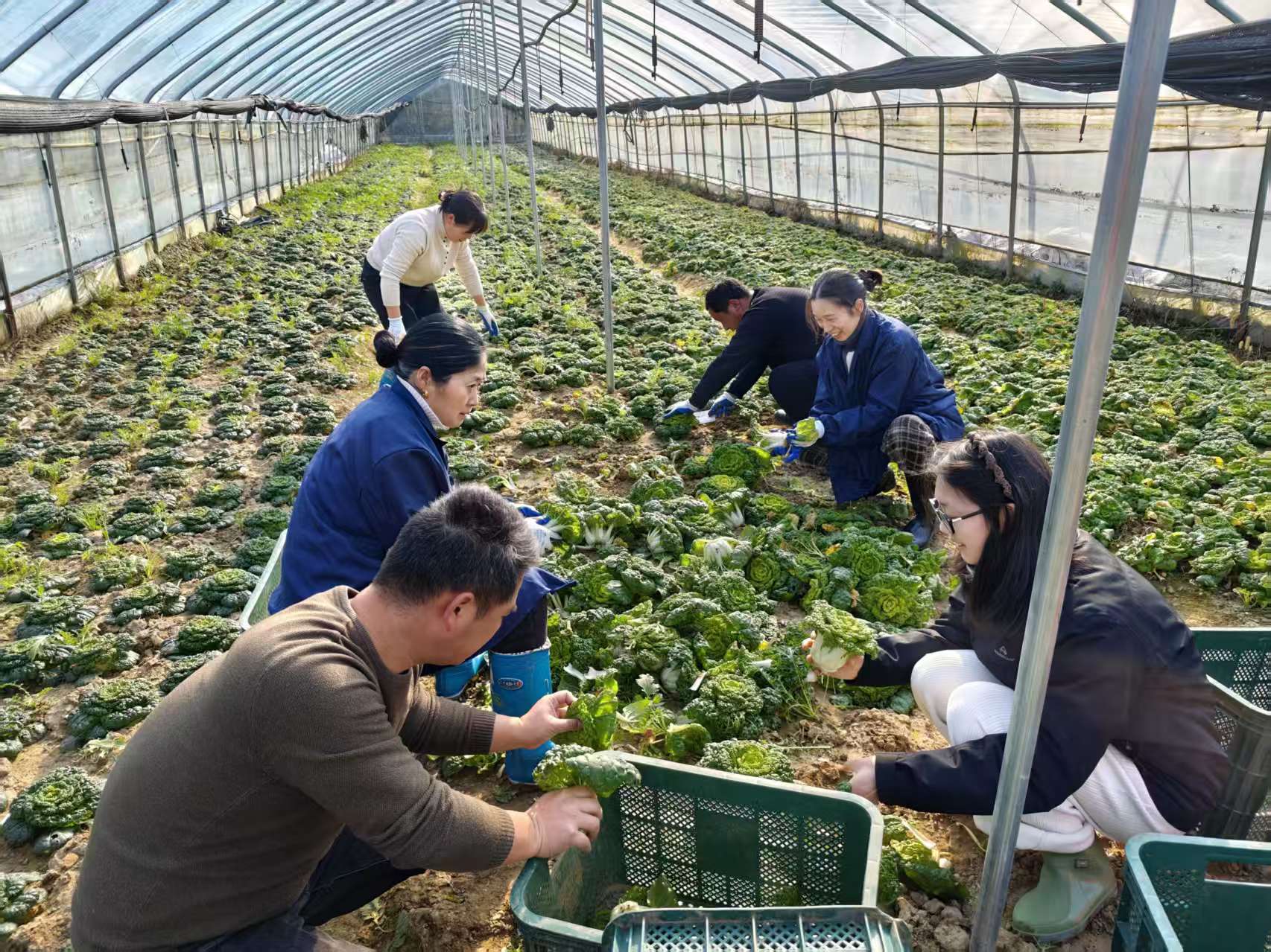 微信图片_20260126105014_26_898.jpg 微信图片_20260126105014_26_898.jpg