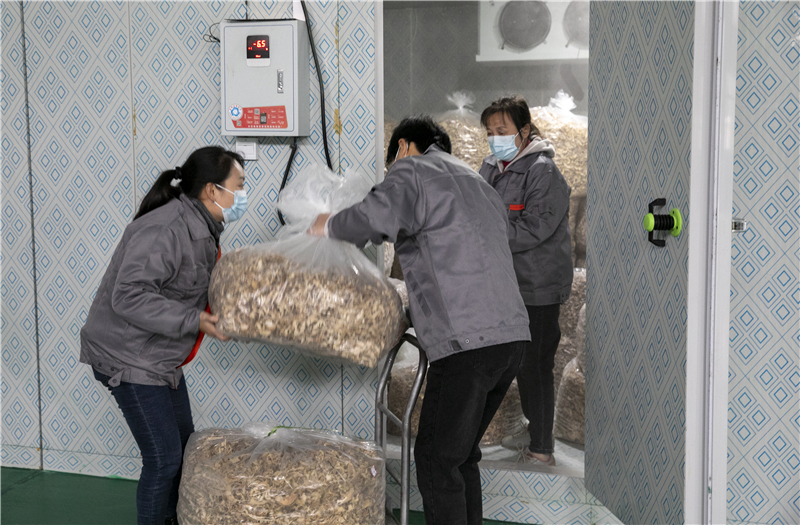 微信图片_20221110161924.jpg