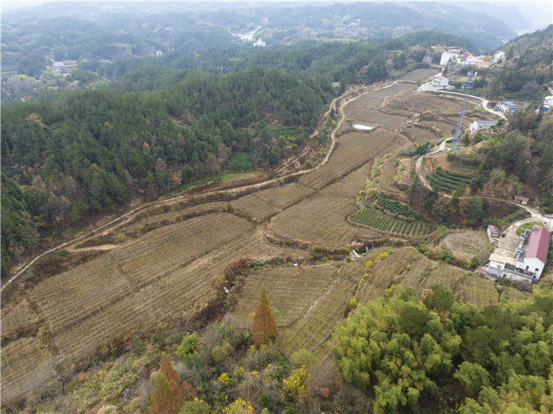 DJI_0335+.jpg