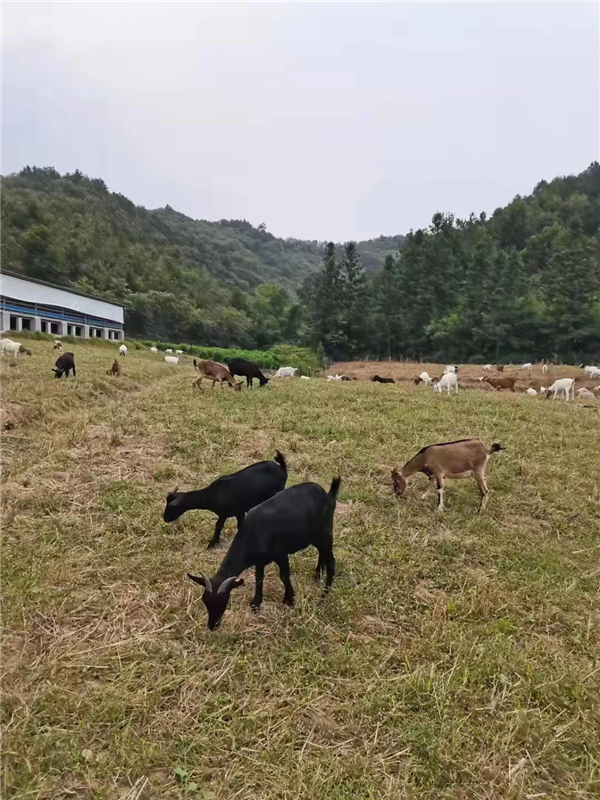 微信图片_20230103145234.jpg