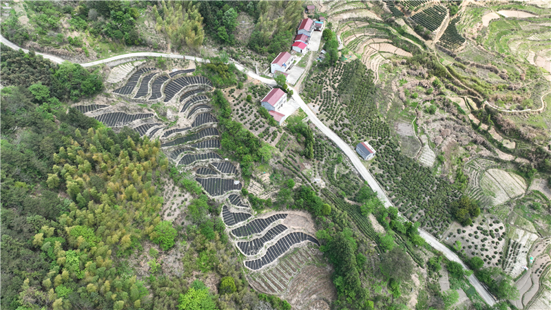 DJI_0548.JPG